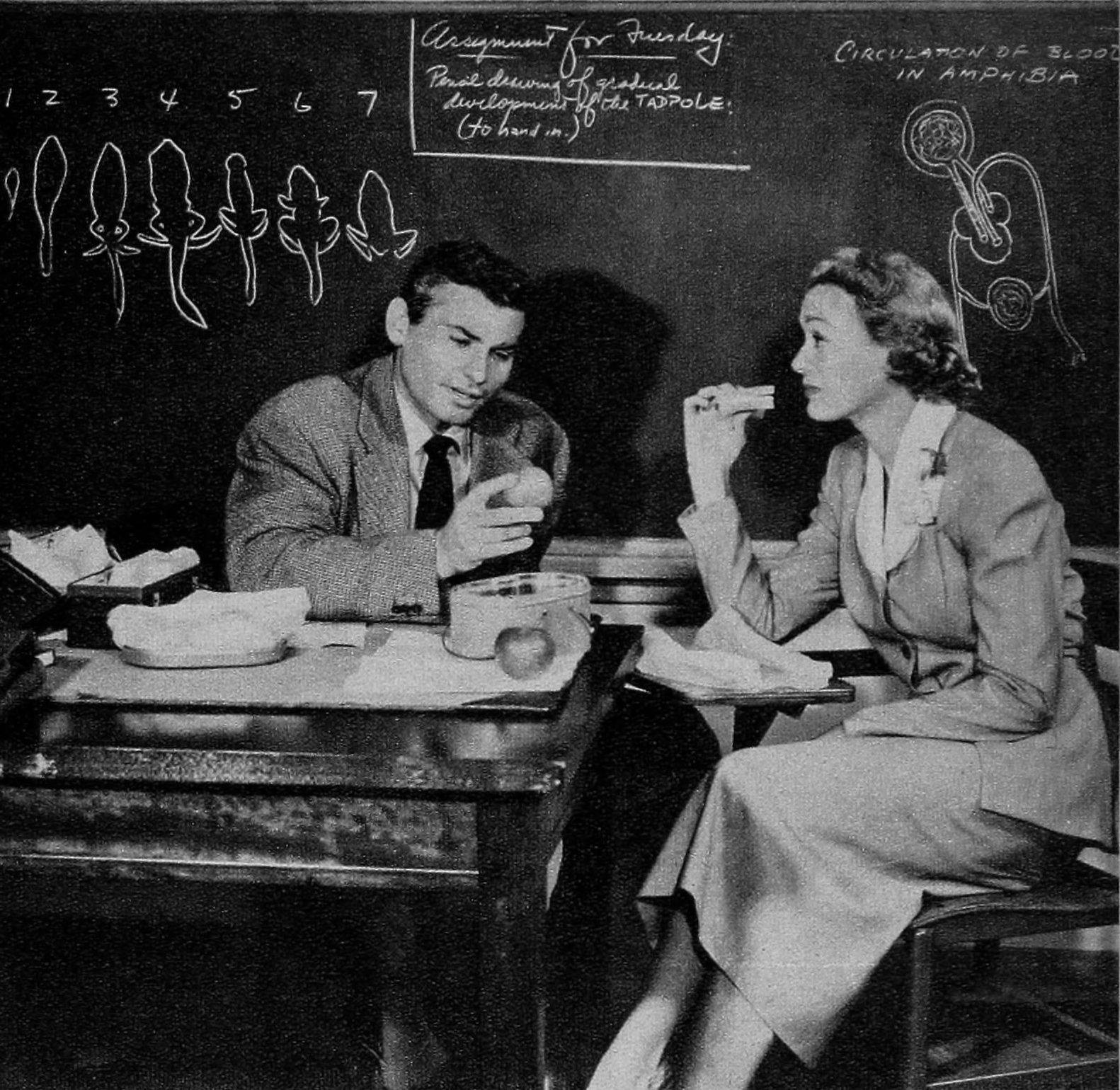 Our Miss Brooks